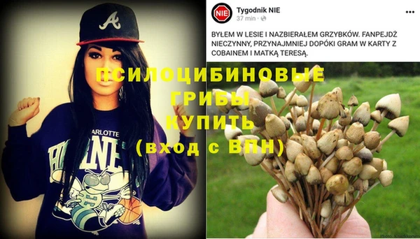 каннабис Верхний Тагил